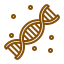 Paternity DNA Test