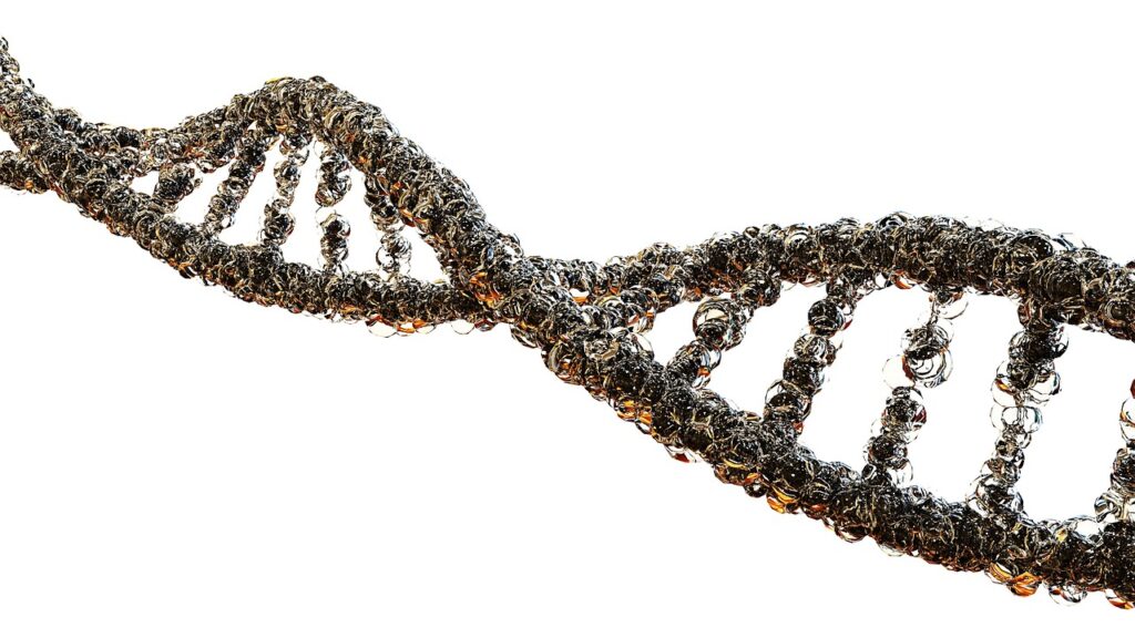 dna dorensics test solutions pvt ltd