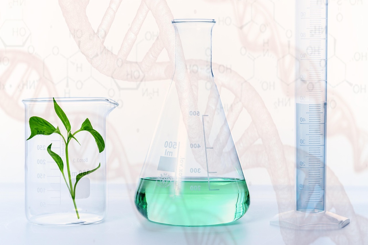 experiment, research, laboratory, science, plant, gmo, chemistry, biology, vial, chemicals, beaker, nature, graduated cylinder, glasswares, lab of DNA Test Solutions