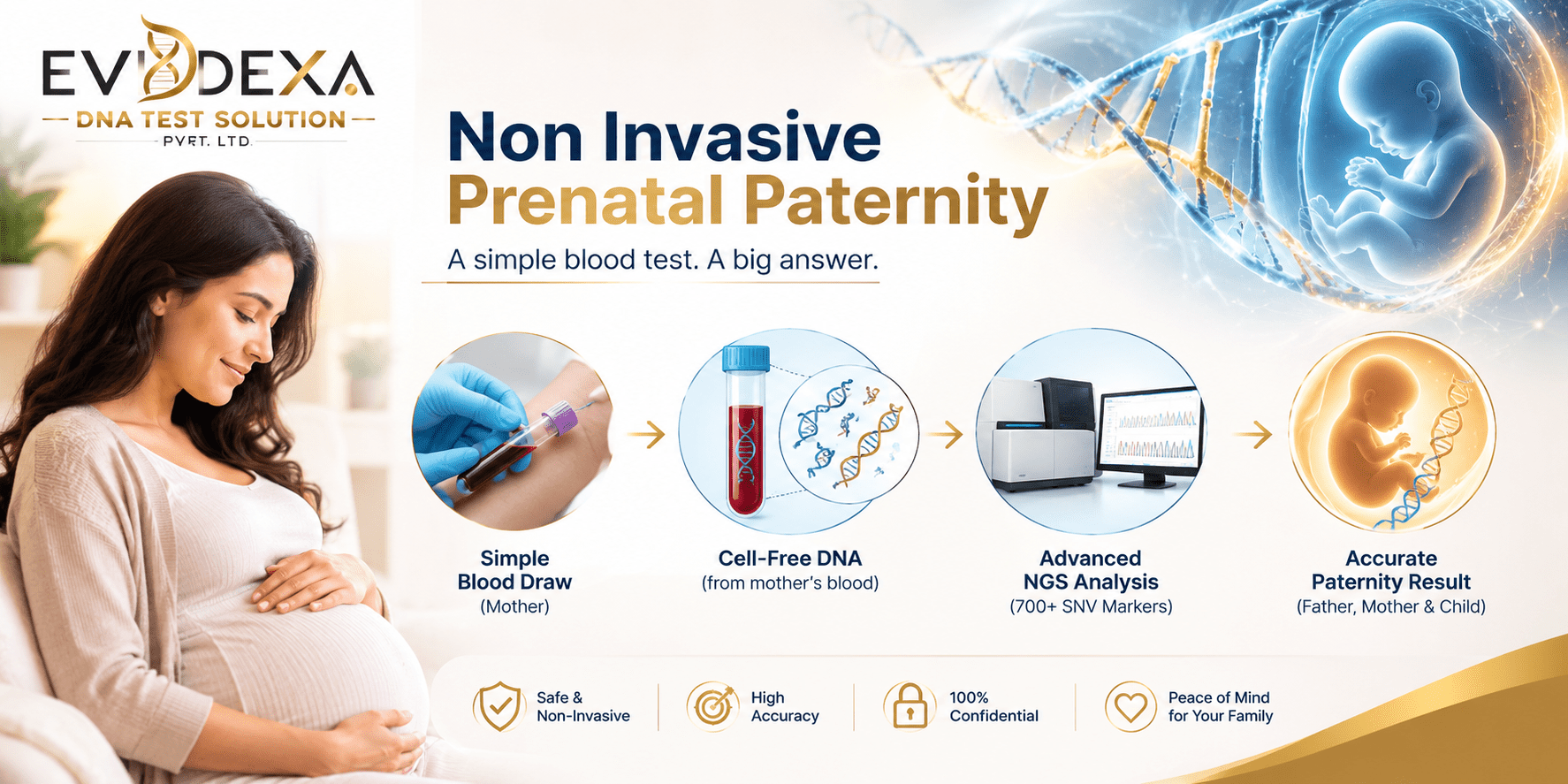 image is showing Self free Non Invasive Prenatal Paternity DNA Test By EVIDEXA DNA Test Solution Pvt Ltd