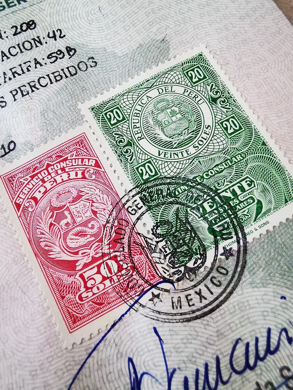 passport, stamps, visa, travel, document, visa, while going for immigration DNA Test by EVIDEXA DNA Test Solution Pvt Ltd