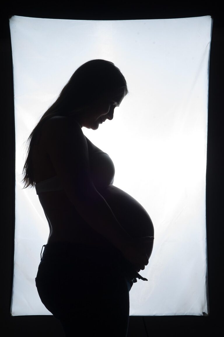 silhouette, pregnancy, maternity, mother, pregnancy, pregnancy, pregnancy, pregnancy, pregnancy