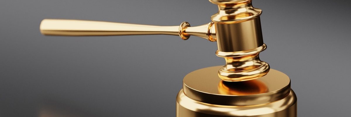 gavel, auction, hammer, justice, legal, judge, law, court, lawyer, wooden, bid, business, symbol, judgment, mallet, verdict, sentence, legislation, gold, authority, courthouse, decisions, punishment, criminal, bang, gray business, gray company, gray law, gavel, auction, justice, legal, legal, judge, law, law, law, law, law, court, lawyer, lawyer, lawyer legal by EVIDEXA DNA Test Solution Pvt Ltd